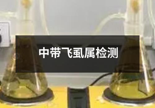 中带飞虱属检测