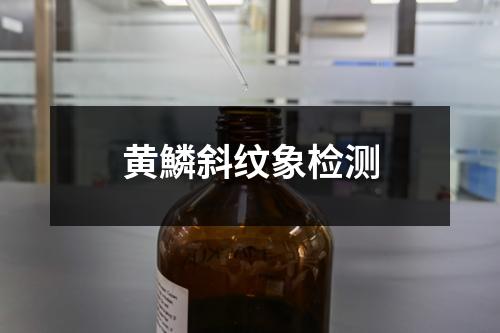黄鱗斜纹象检测