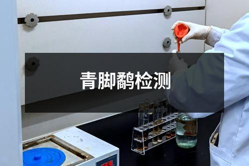 青脚鹬检测