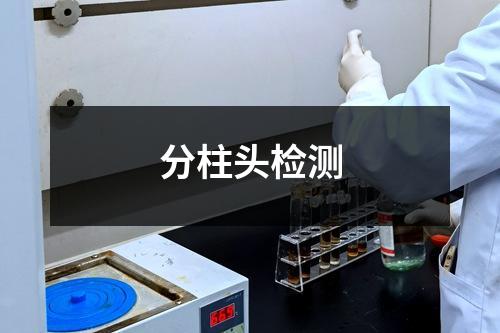 分柱头检测
