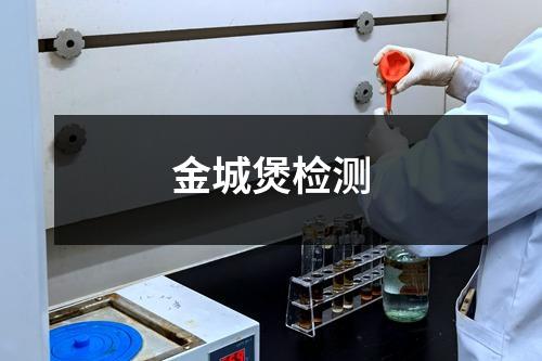 金城煲检测
