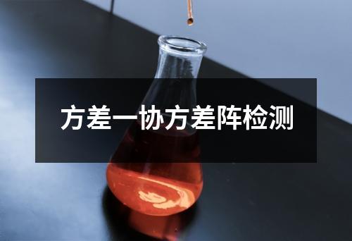 方差一协方差阵检测