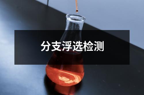 分支浮选检测
