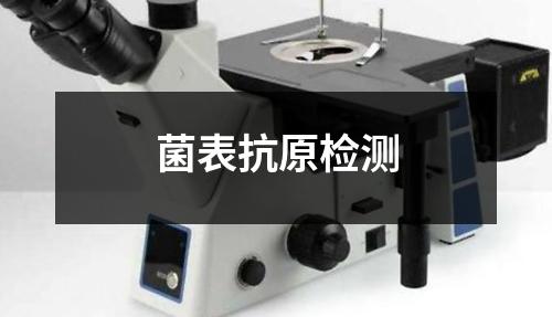 菌表抗原检测