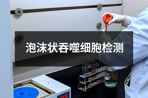 泡沫状吞噬细胞检测