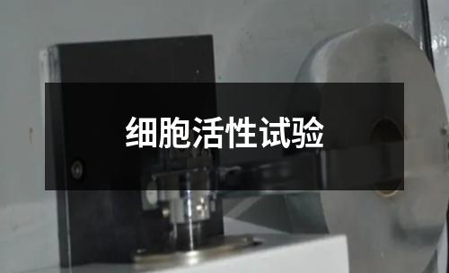 细胞活性试验