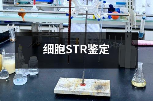 细胞STR鉴定