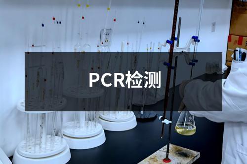 PCR检测