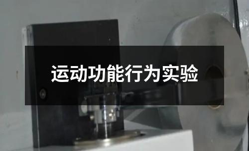 运动功能行为实验