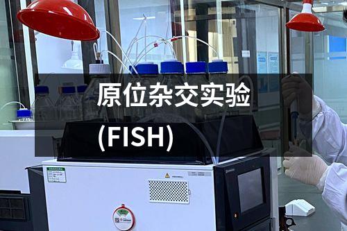 原位杂交实验(FISH)