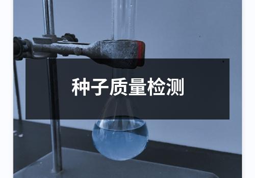 种子质量检测