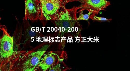 大米 GB/T 20040-2005