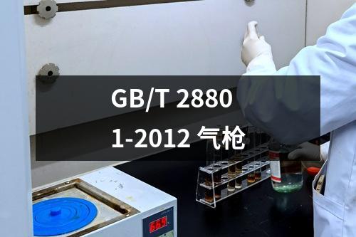 GB/T 28801-2012 气枪