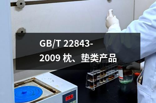 GB/T 22843-2009 枕、垫类产品