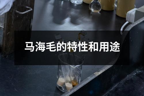 马海毛的特性和用途