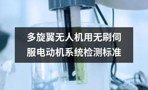 多旋翼无人机用无刷伺服电动机系统检测标准