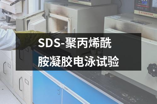 SDS-聚丙烯酰胺凝胶电泳试验