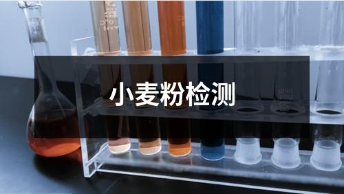 小麦粉检测