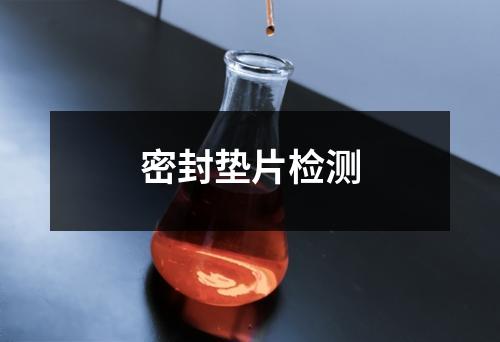 密封垫片检测