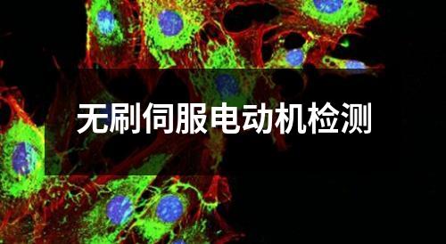 无刷伺服电动机检测