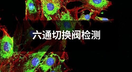 六通切换阀检测