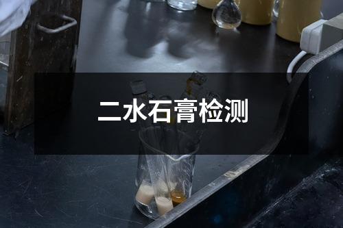 二水石膏检测