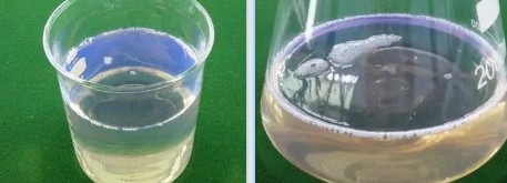 浸渗胶检测