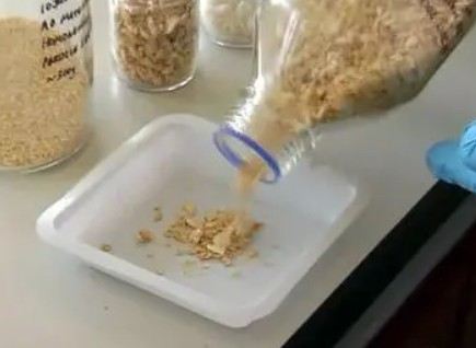 食品工业残渣检测