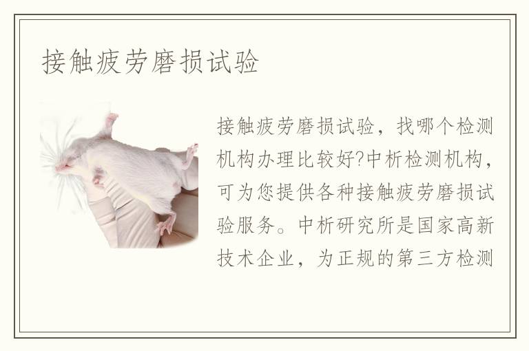 接触疲劳磨损试验