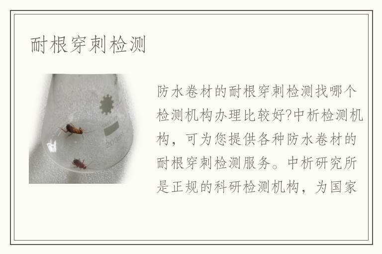 耐根穿刺检测