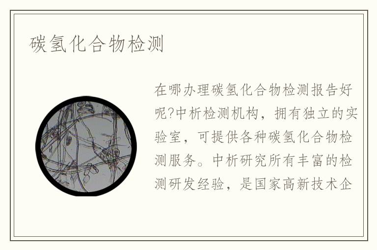 碳氢化合物检测