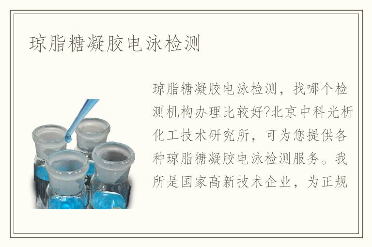 琼脂糖凝胶电泳检测