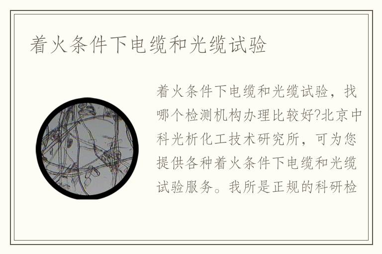 着火条件下电缆和光缆试验