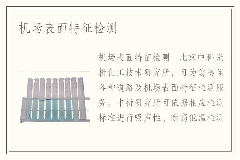 机场表面特征检测