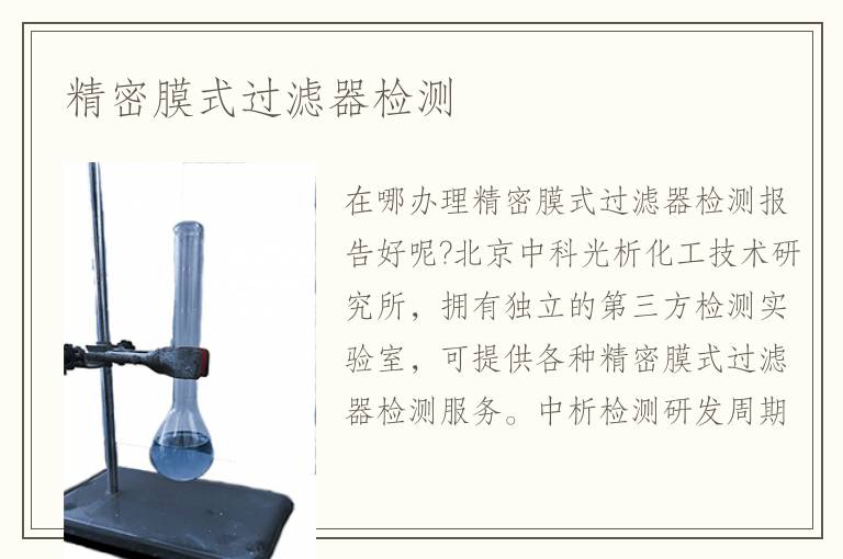 精密膜式过滤器检测