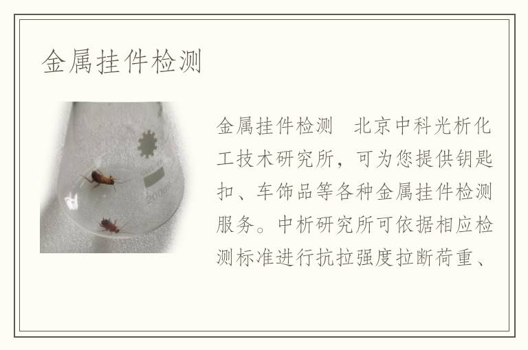 金属挂件检测