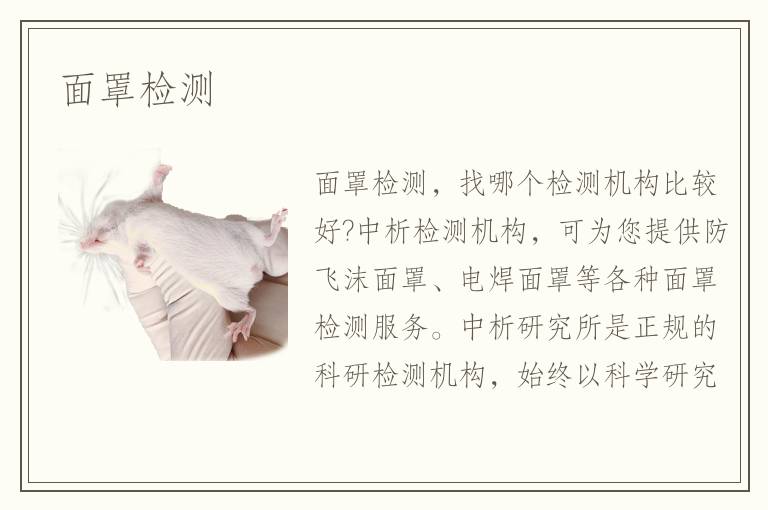面罩检测