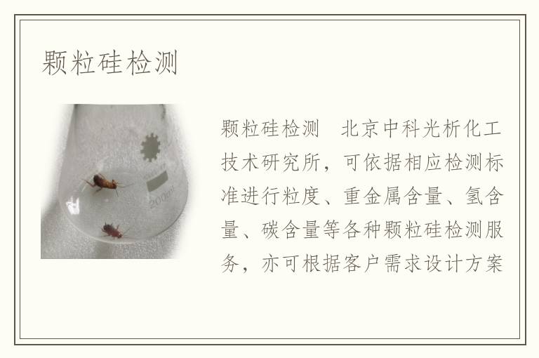 颗粒硅检测
