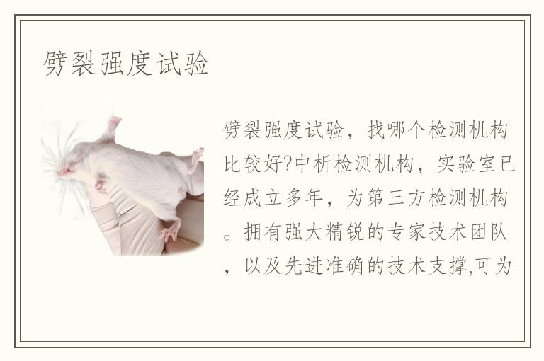 劈裂强度试验