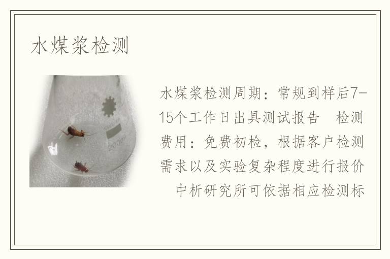 水煤浆检测