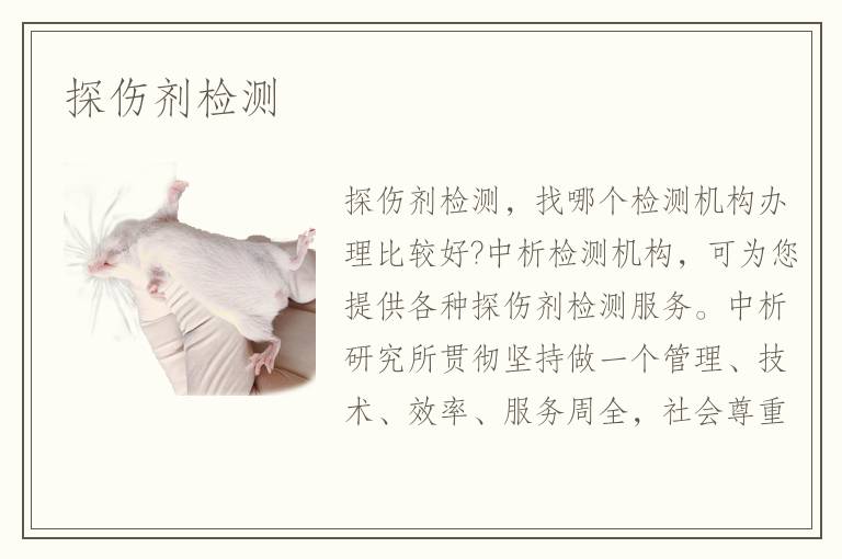 探伤剂检测