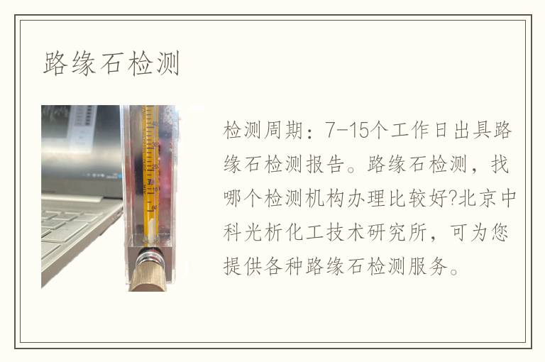 路缘石检测