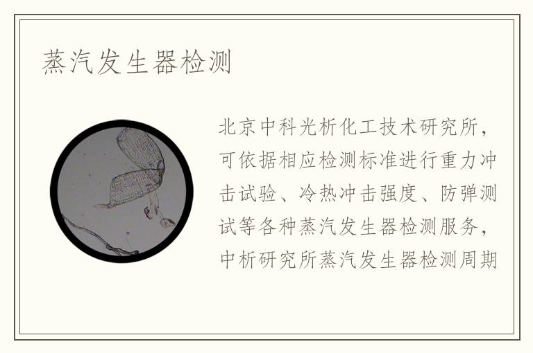 蒸汽发生器检测