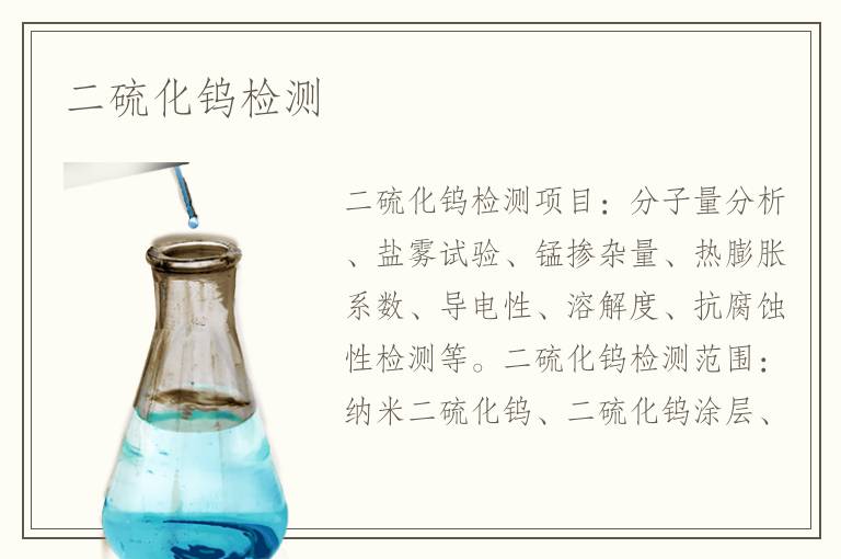 二硫化钨检测
