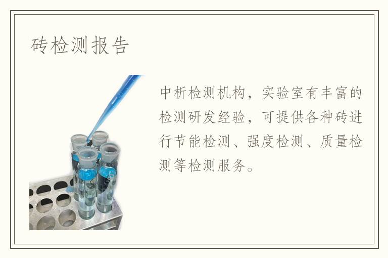 砖检测报告