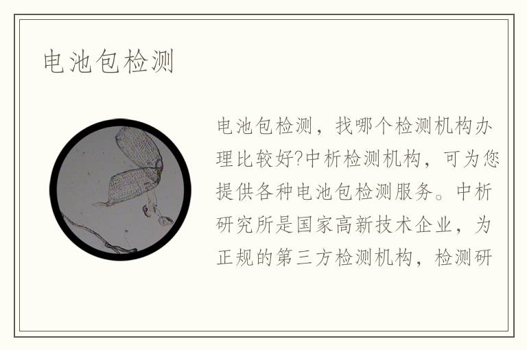 电池包检测