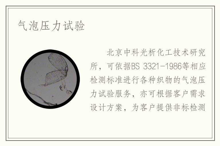 气泡压力试验