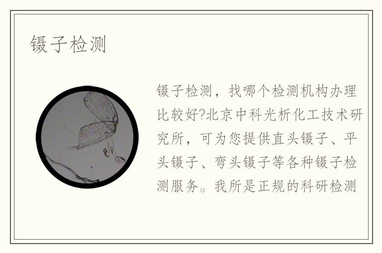 镊子检测