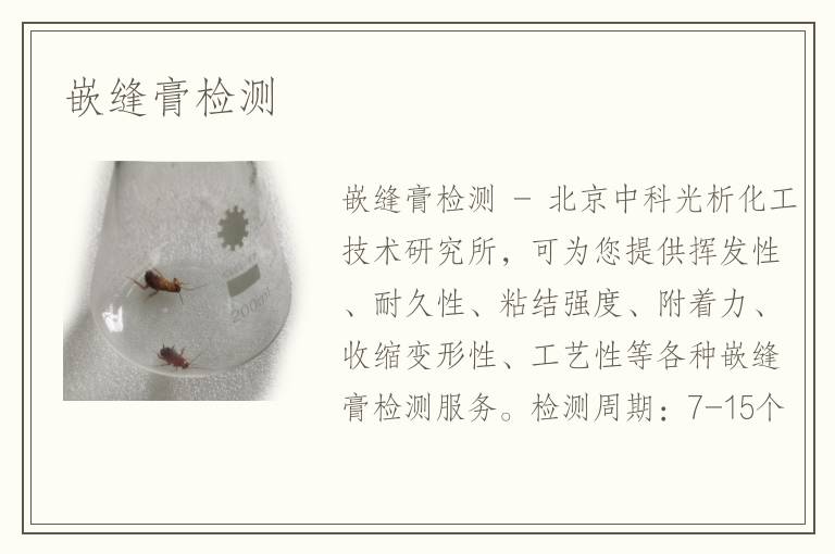 嵌缝膏检测