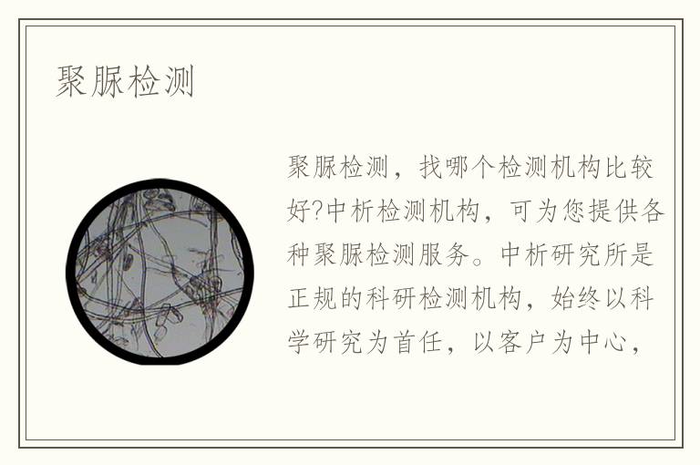 聚脲检测